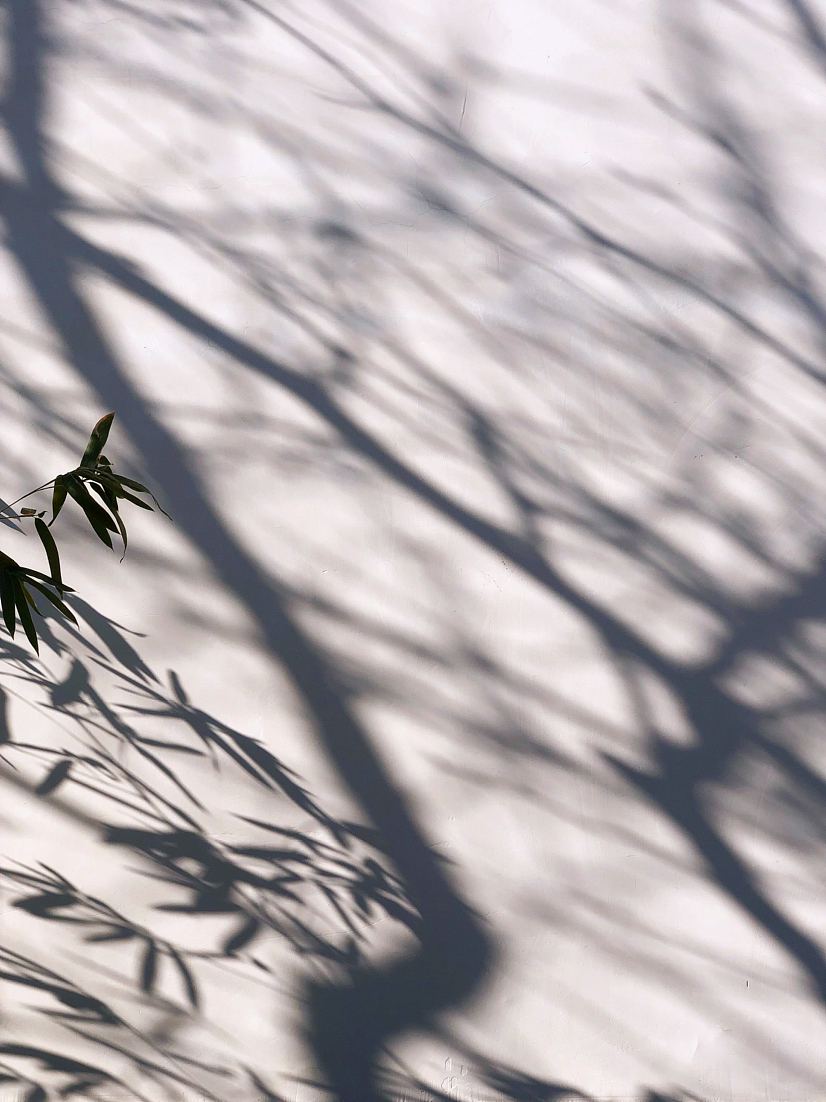 🐱笃初旷远（图ZMzI4MDY4Mzg4） - 展陈设计 - 站酷设计师意匠宝旺原创素材 - 站酷ZCOOL