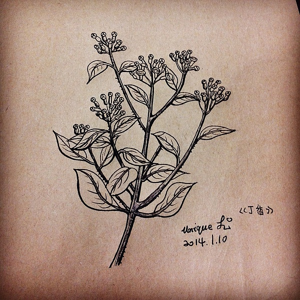 画花世界（图ZMTQ3MDMxNDQ=） - 绘画 - 站酷设计师李芳琪原创素材 - 站酷ZCOOL