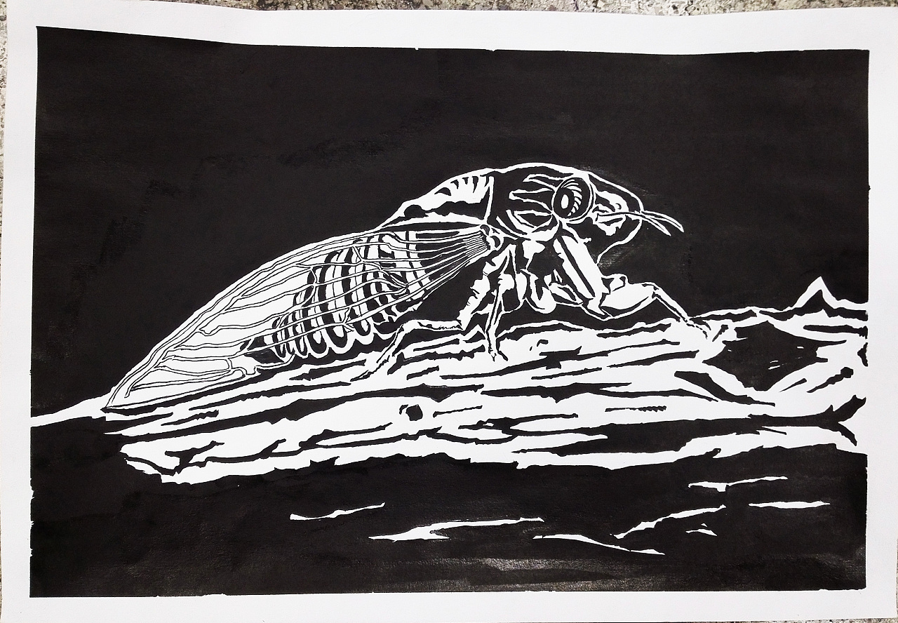 黑白插画大随笔