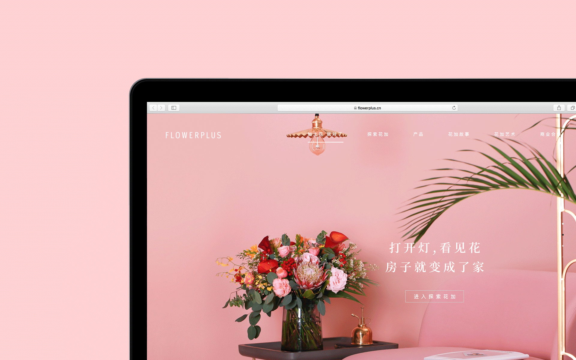 Flowerplus | 花加（图ZMTEzNDAwNjk2） - 品牌 - 站酷设计师秦哲祺_Alan原创素材 - 站酷ZCOOL