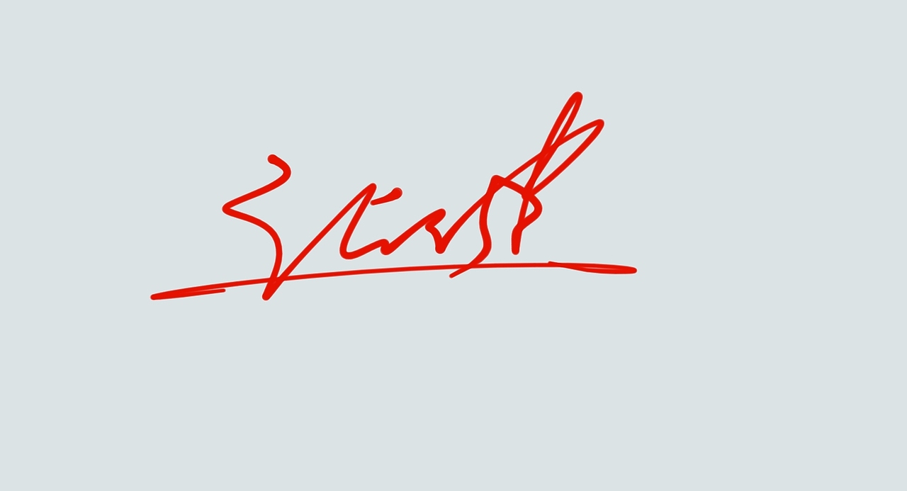 张健的签名一款丨艺术签名丨签名设计丨签名怎么写好看