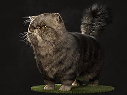 XGEN毛发系统----猫