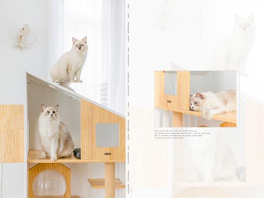 猫爬架—宠物用品拍摄
