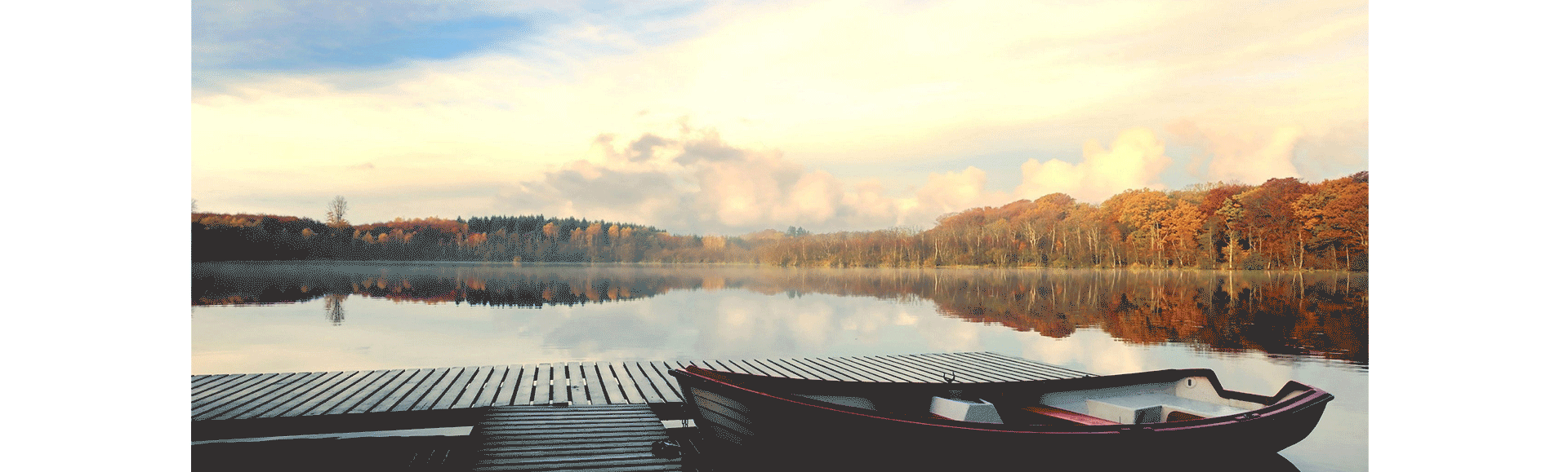 动画图上传后就不会动了,大家可以点击观看。