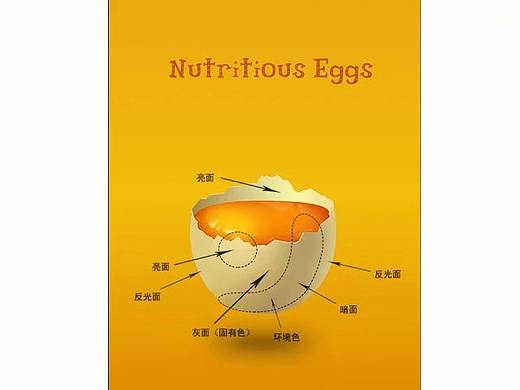 AI雞蛋教程（個(gè)人主頁(yè)-ZMjg2MTUxMzI=） - 海報(bào) - 站酷設(shè)計(jì)師心照一生wy原創(chuàng)素材 - 站酷ZCOOL