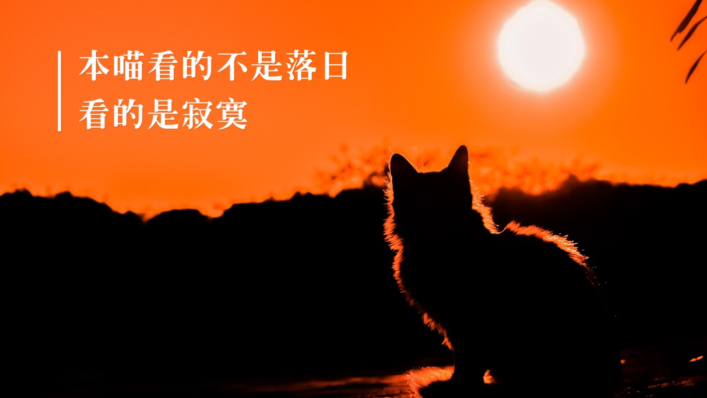 undefined undefined