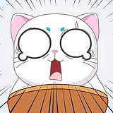 玄猫家格格的头像