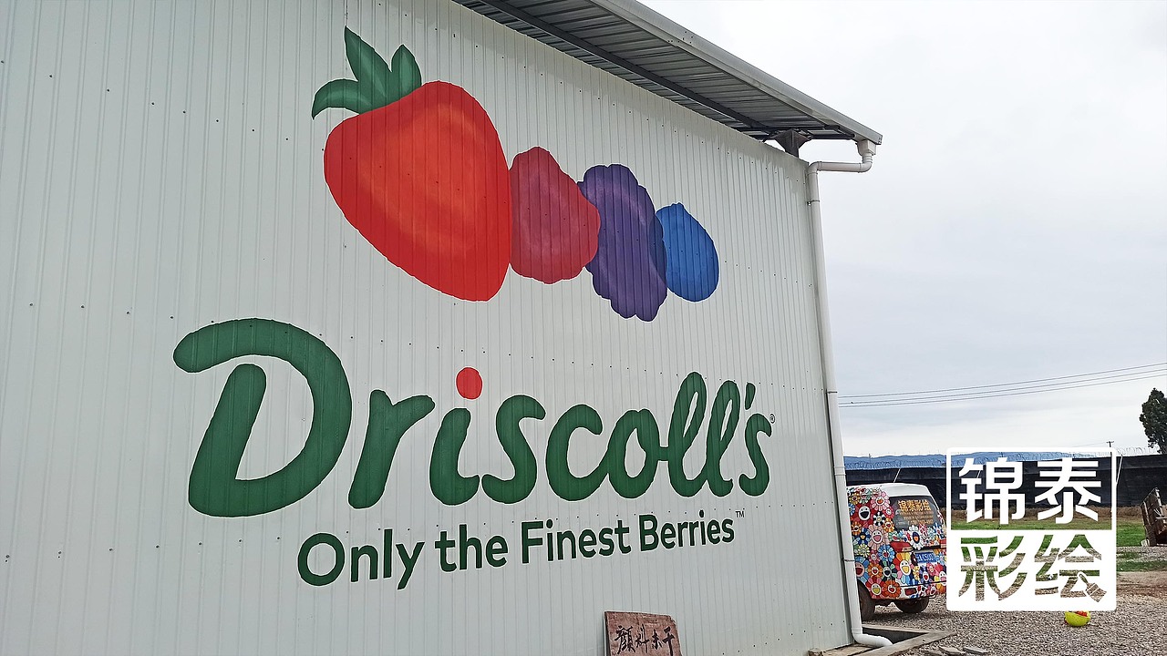 曲靖沾益农业公司彩钢瓦墙面彩绘/曲靖墙体彩绘手绘墙（图ZMjU4MDQ5OTQ0） - 其他手工艺 - 站酷设计师云南锦泰彩绘原创素材 - 站酷ZCOOL