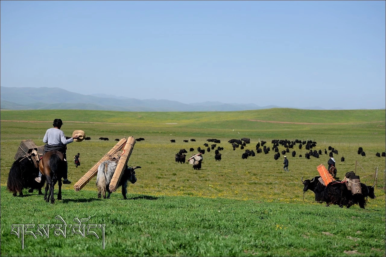 藏风景（图ZMTQxMDU3NDE2） - 短篇/格漫 - 站酷设计师白持地原创素材 - 站酷ZCOOL