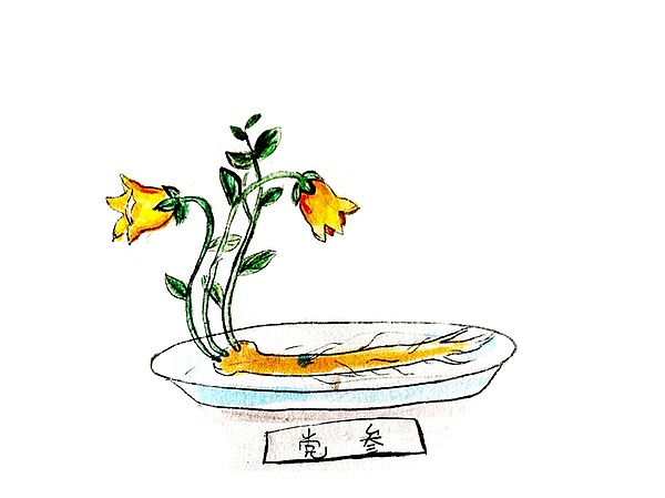 猪肚包鸡怎么做？（图ZOTA1NTAyMTY=） - 商业插画 - 站酷设计师徐理想原创素材 - 站酷ZCOOL