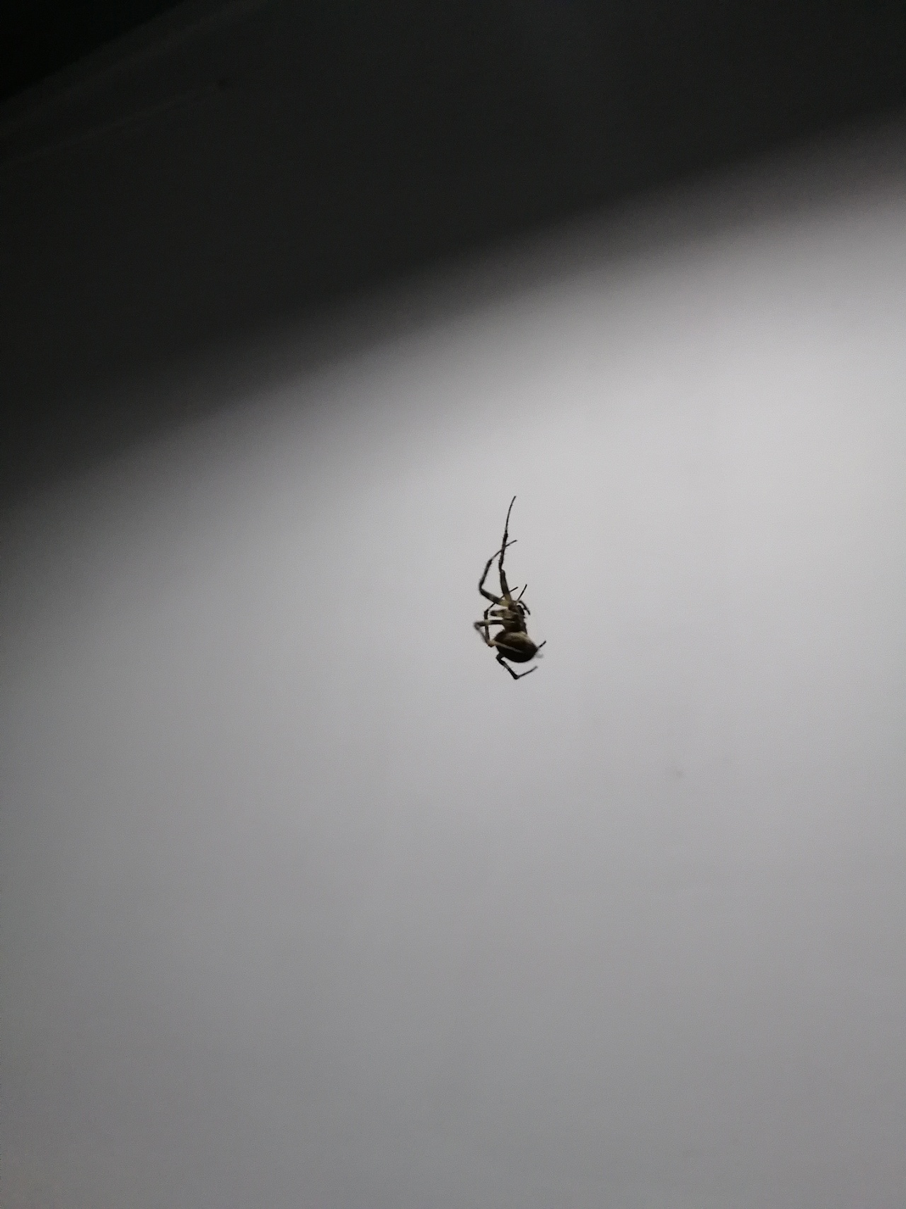 十七点三十四分（图ZMTQwNDg4MjQ0） - 人文/纪实摄影 - 站酷设计师新鮮大腦切片原创素材 - 站酷ZCOOL