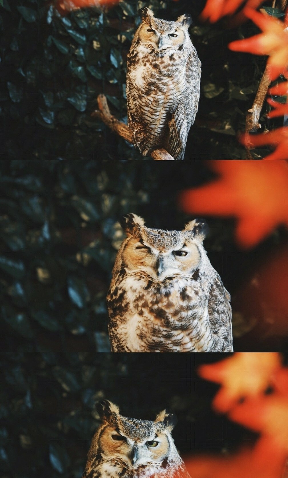 刘浪摄影作品《路灯之影》