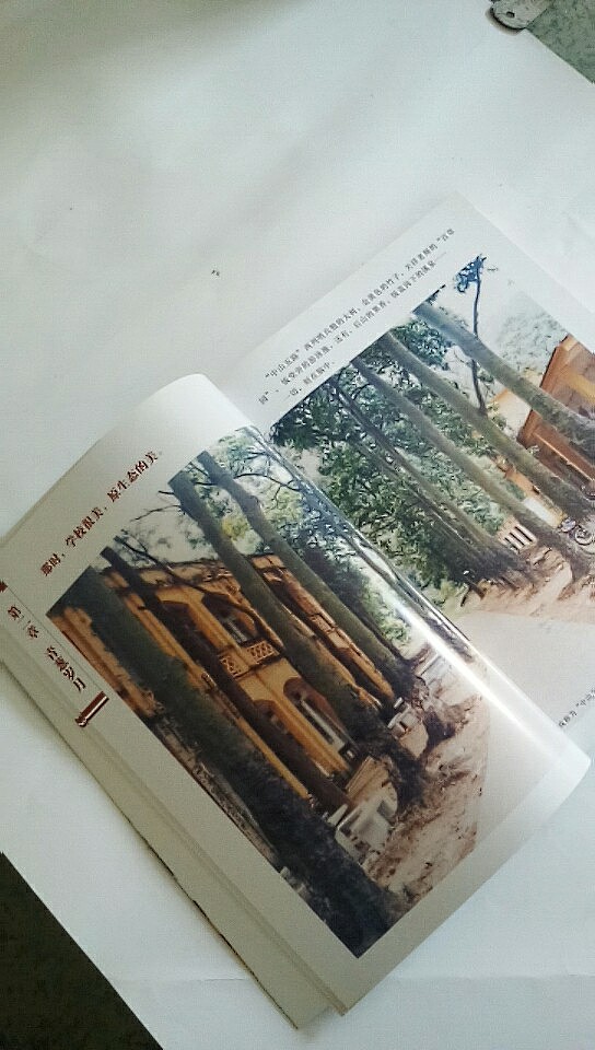 同学录记念册欣赏（图ZMTE3Mzc1MTk2） - 书籍/画册 - 站酷设计师佛山正牛广告原创素材 - 站酷ZCOOL