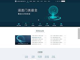 政府网站