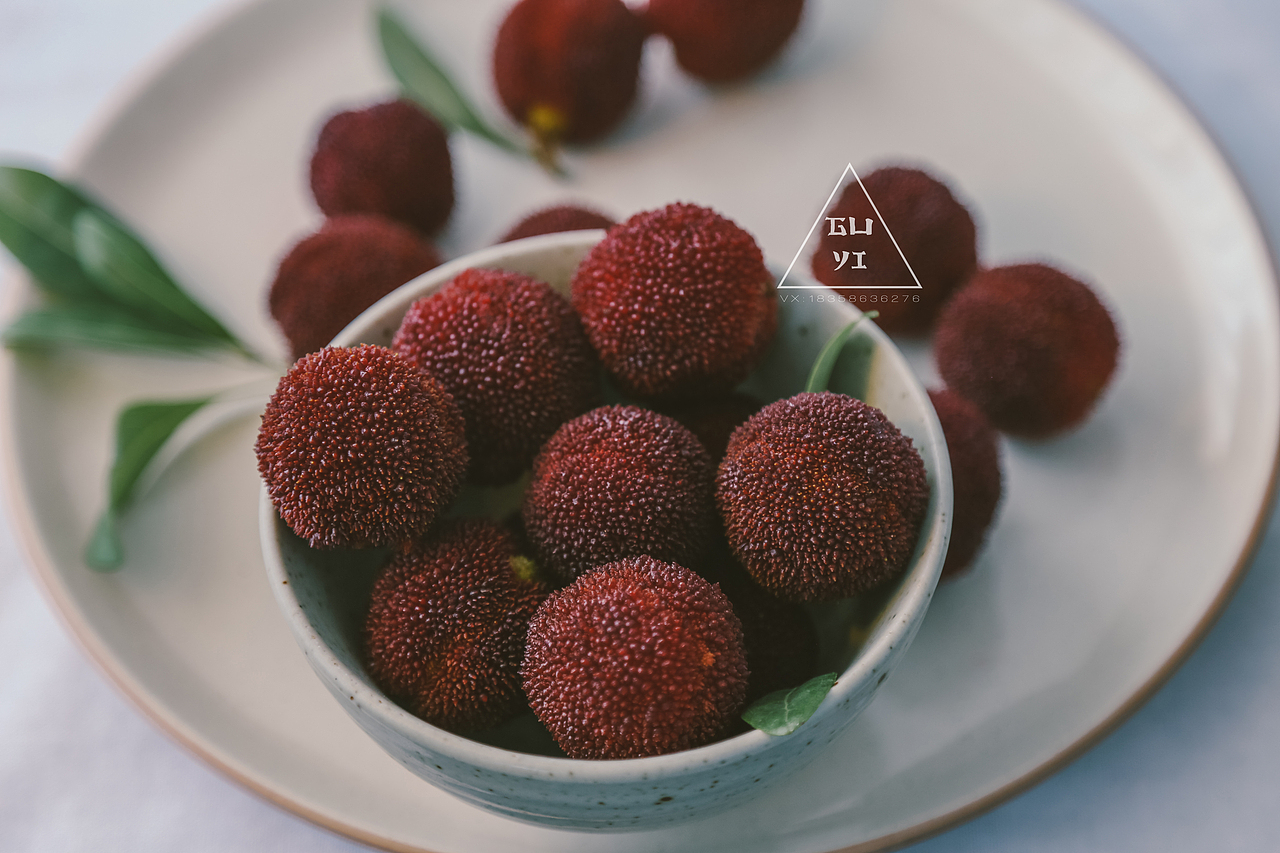 又是一年杨梅季,自家满山的杨梅熟了