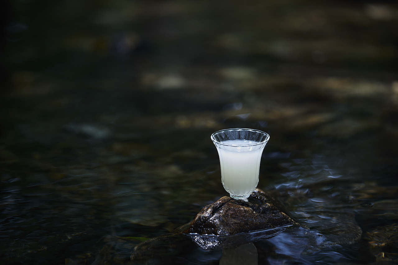 酒水|米色玄米酒