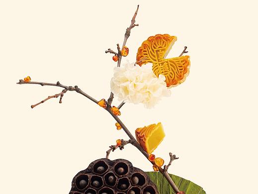 一个被称为艺术品的菜肴-食谱、装置与拍摄的完美结合