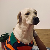 是小阿清的头像