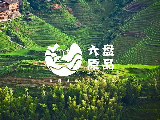 彭阳县域电商品牌设计方案