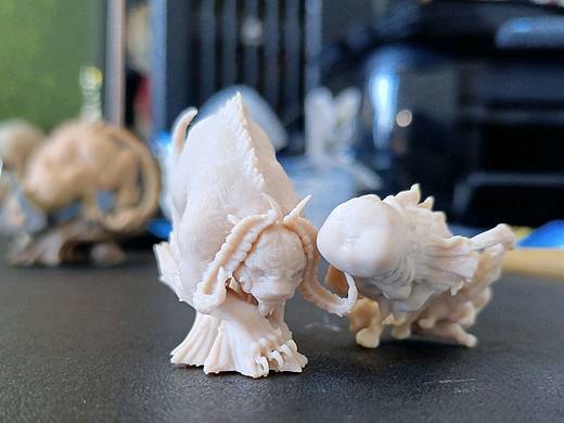 上吊猴，人面鱼