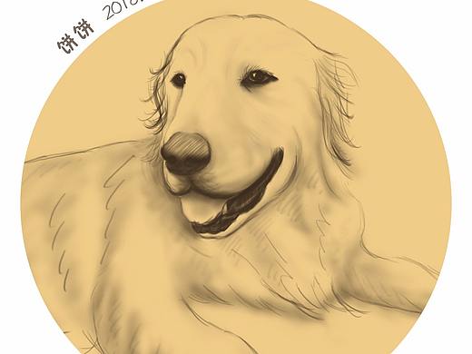 #金毛合集#（個人主頁-ZMjkyNTI4NDQ=） - 創(chuàng)作習(xí)作 - 站酷設(shè)計(jì)師謝竹吟原創(chuàng)素材 - 站酷ZCOOL