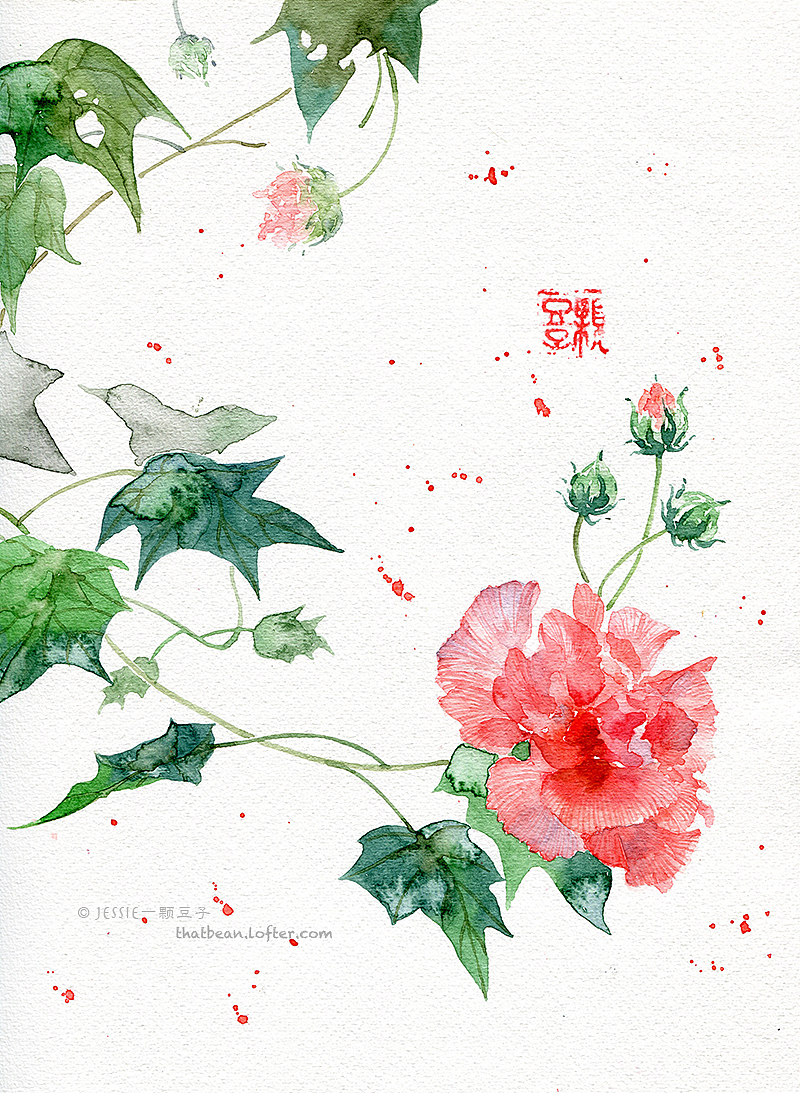 水彩插画——芙蓉（图ZMjA0NTEwMTI=） - 商业插画 - 站酷设计师Jessie一颗豆子原创素材 - 站酷ZCOOL