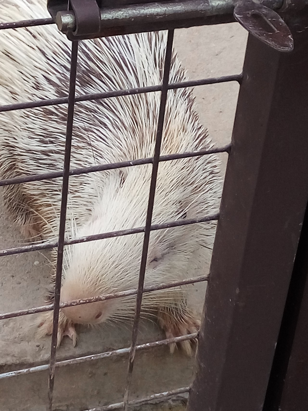 十里莲江（图ZMTM2MzM1MTI0） - 产品摄影 - 站酷设计师嘟嘟2019原创素材 - 站酷ZCOOL