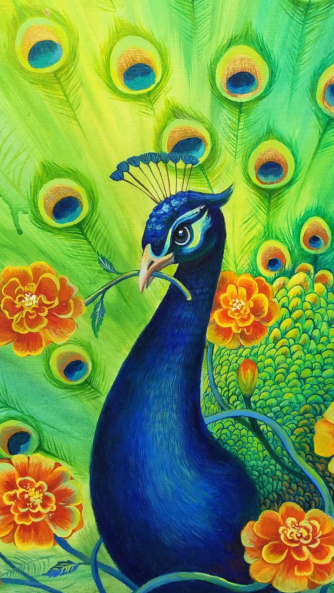 孔雀花
