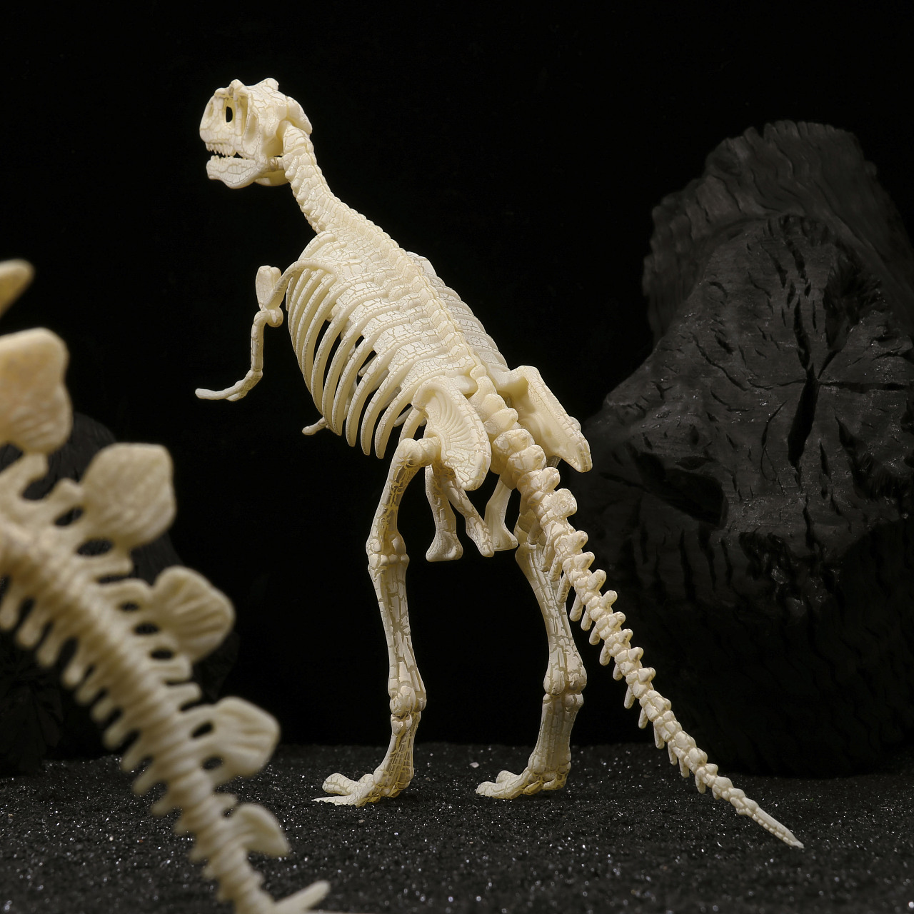 恐龙化石图片素材-编号10033981-图行天下