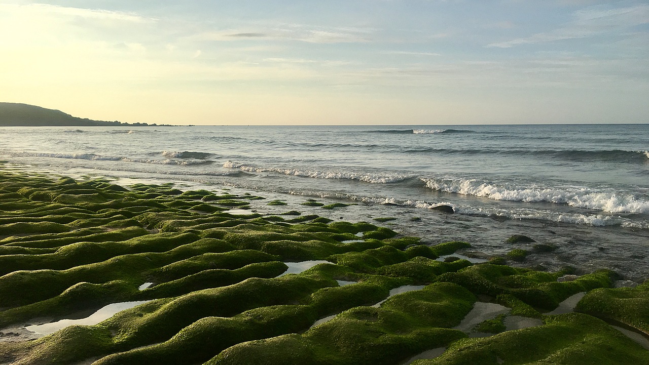 手机摄影-台湾老梅石槽