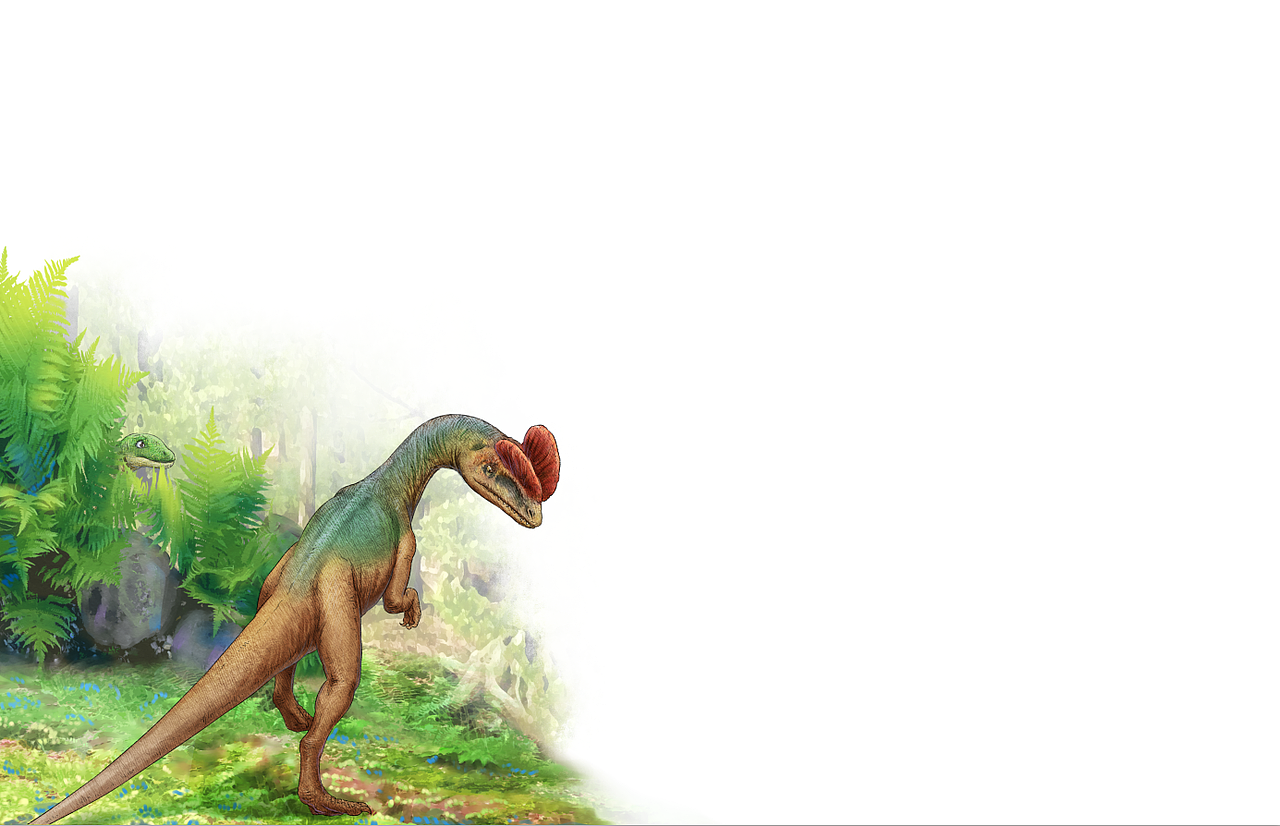 恐龙商插 禄丰龙