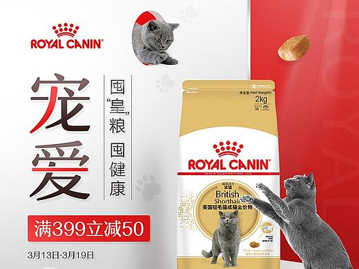 皇家超品 电商宠物类页面 宠物食品 猫粮狗粮