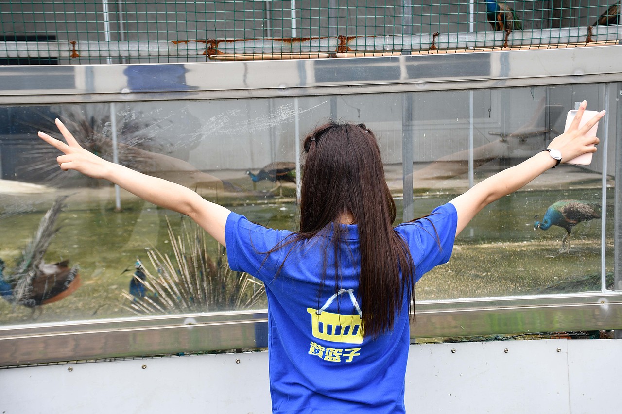 陈老汉出品 | 黄篮子生鲜连锁品牌VI视觉体系制造