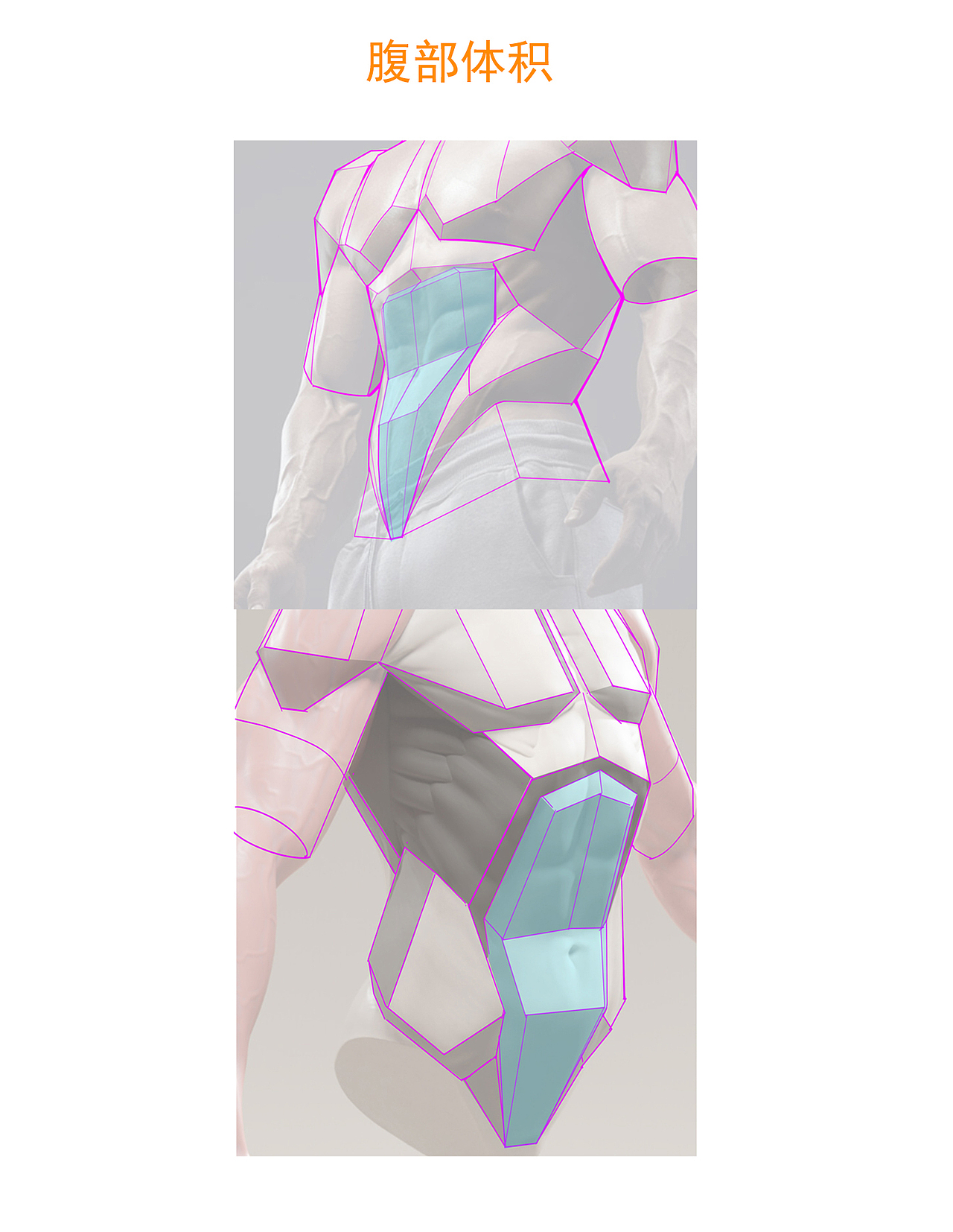 腹部肌肉结构解析（图ZMjg3NDg1NzIw） - 创作习作 - 站酷设计师大木画画原创素材 - 站酷ZCOOL