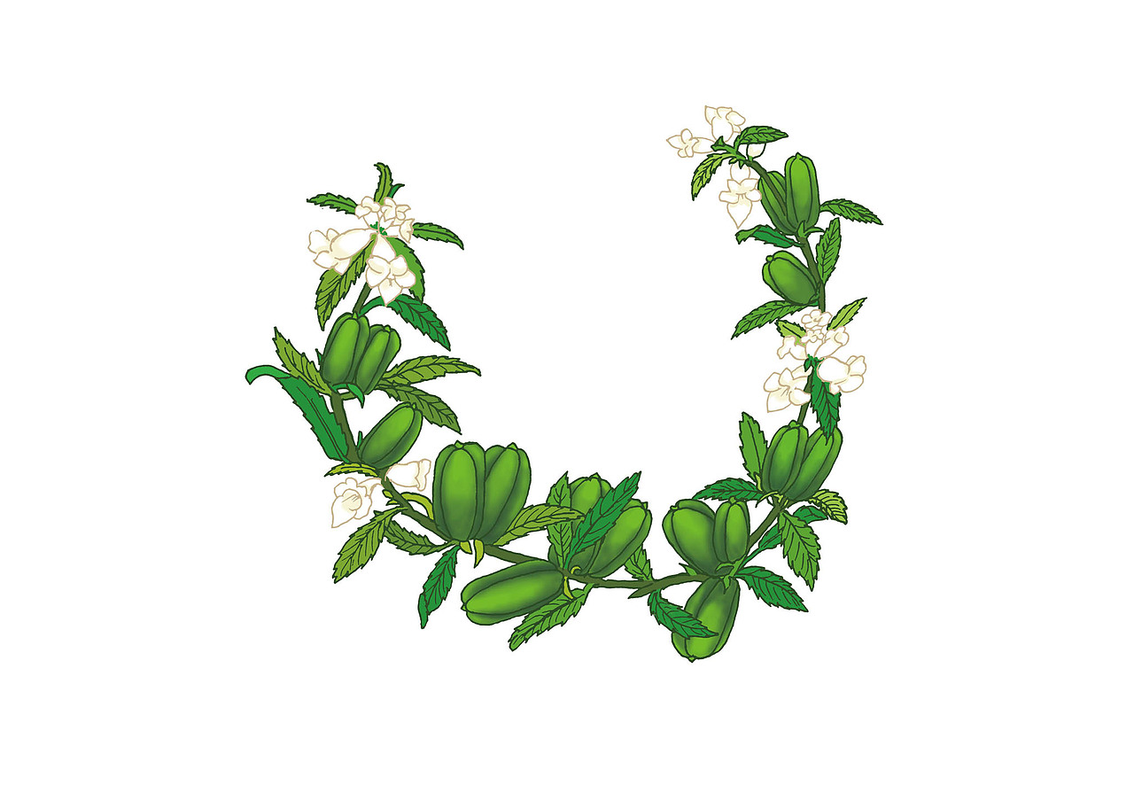 芝麻手绘|插画|商业插画|梦醒s分_原创作品-站酷zcool