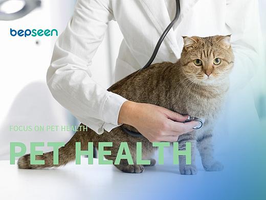 寵物醫(yī)院醫(yī)療行企業(yè)logo生物類(lèi)logo寵物保健品企業(yè)標(biāo)志（個(gè)人主頁(yè)-ZNTQ2NDgyNzI=） - Logo - 站酷設(shè)計(jì)師設(shè)計(jì)師小玉原創(chuàng)素材 - 站酷ZCOOL