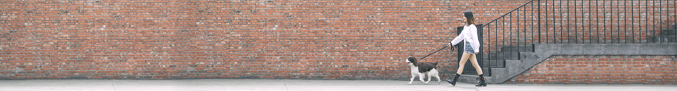 雪花DYX的个人主页（封面预览） - 主页封面设置 - 站酷设计师雪花DYX原创素材 - 站酷ZCOOL