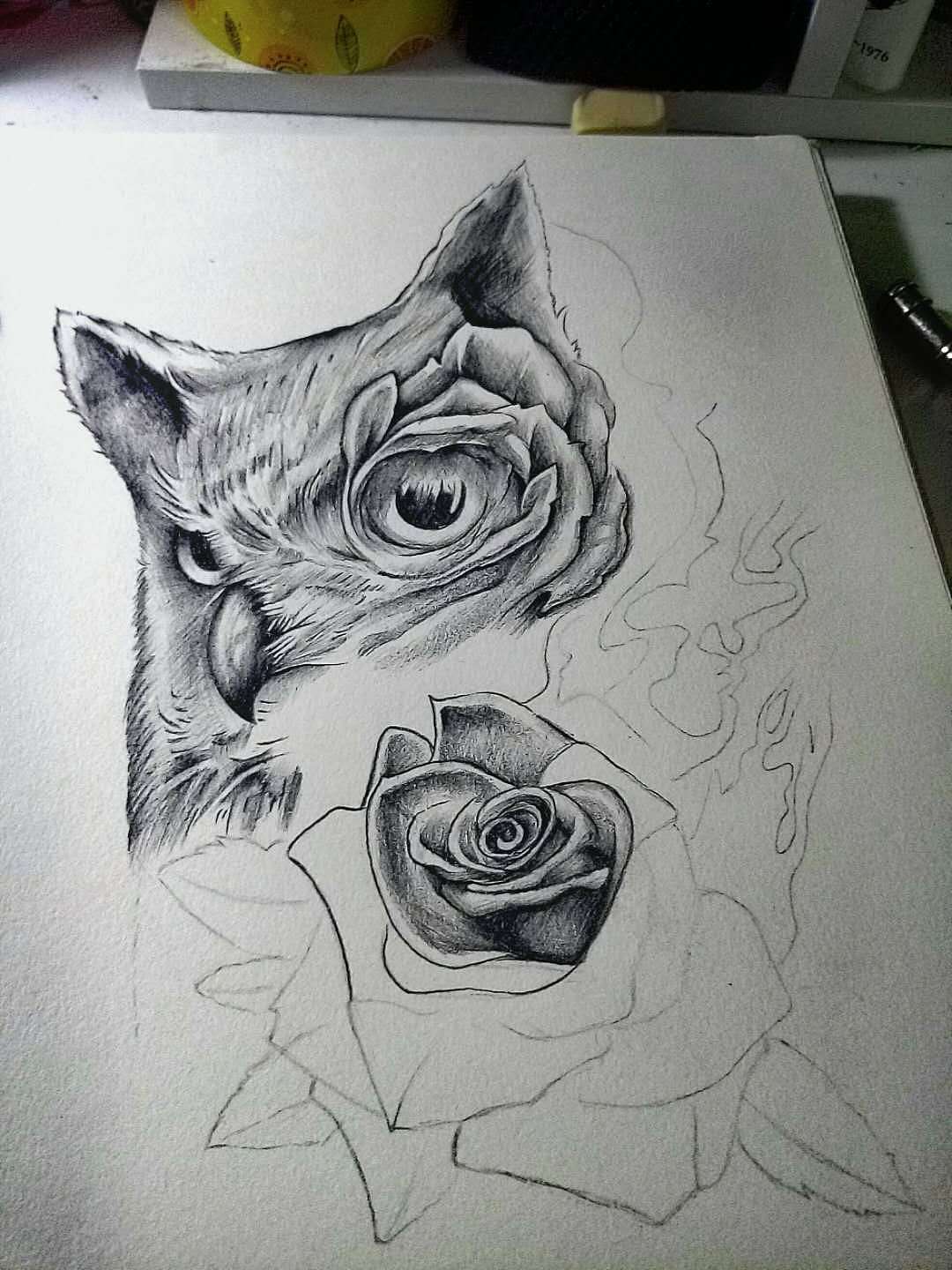 手绘 铅笔 猫头鹰