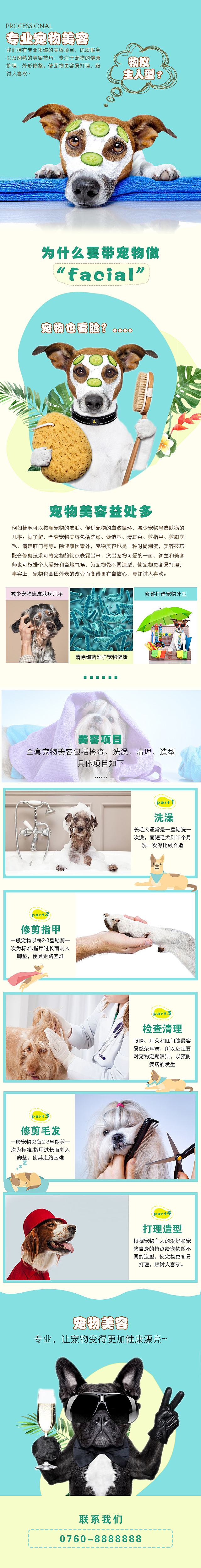 宠物美容行业模板设计