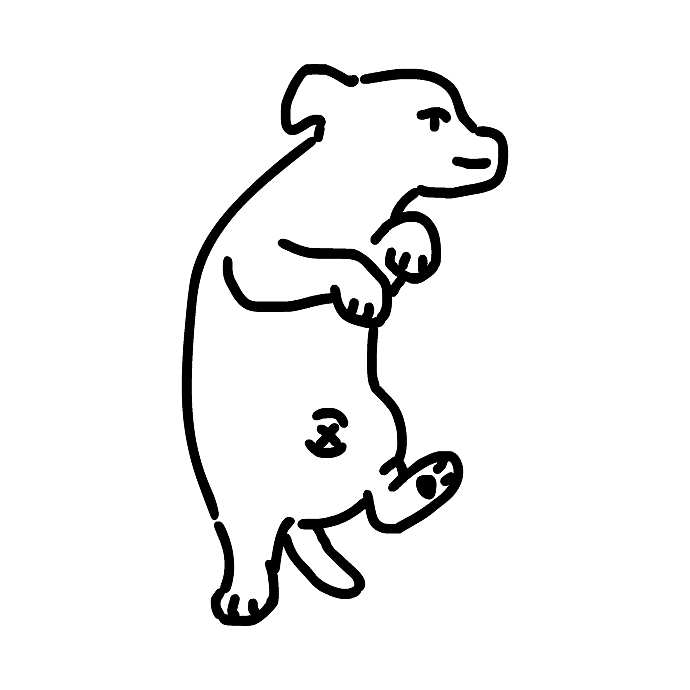 动物治愈行为大赏（图ZMjgzMzcyNDY4） - 创作习作 - 站酷设计师可因什戴思Liu原创素材 - 站酷ZCOOL