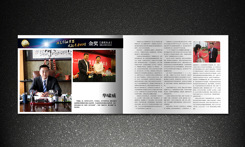 团省委 江苏青年创业奖 金银铜奖获奖名录 画册 灰机稿（图ZMjk3MjE3Ng==） - 其他平面 - 站酷设计师icanfay原创素材 - 站酷ZCOOL