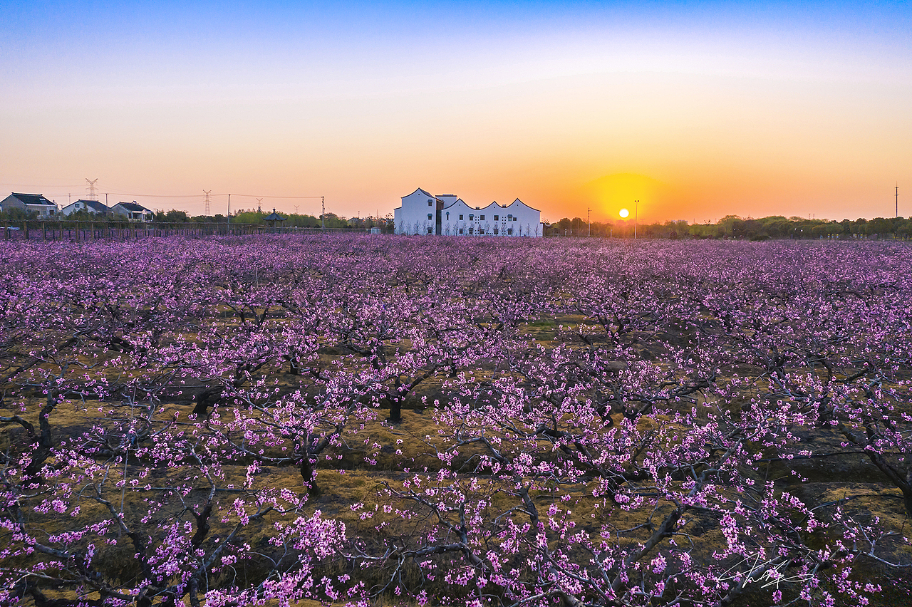 冯梦龙桃园|摄影|风光摄影|大洋926_原创作品-站酷zcool