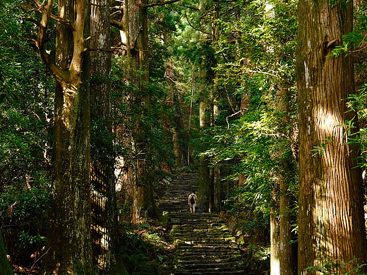 在熊野古道感受今年最后的夏天