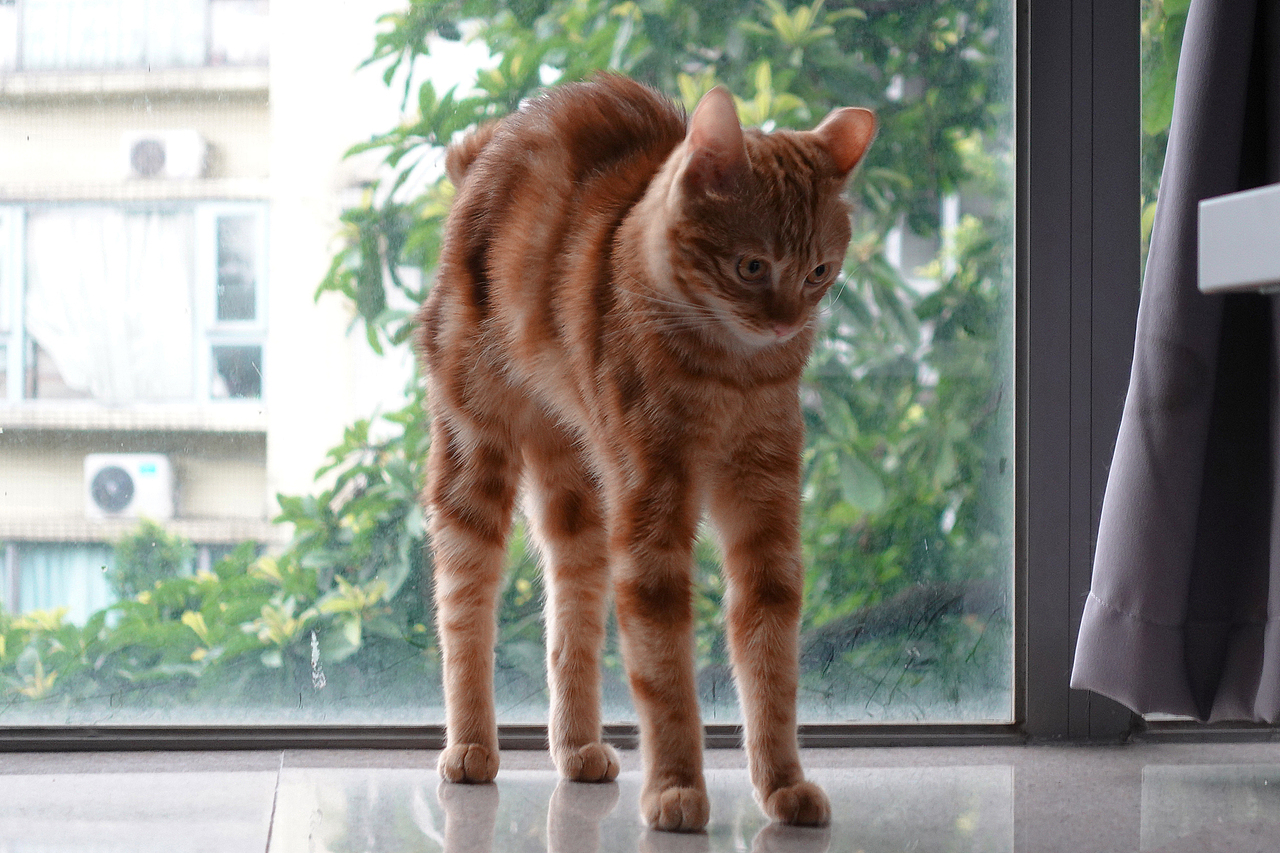 什么都拍,什么都不奇怪