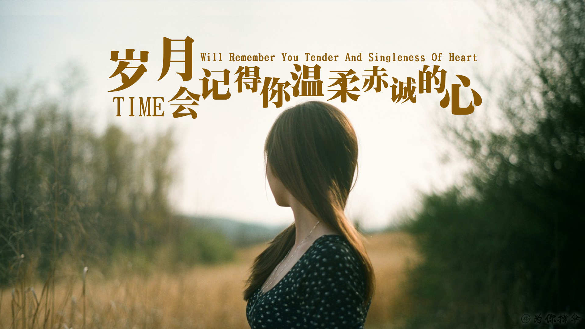 banner文字排版第二十九期