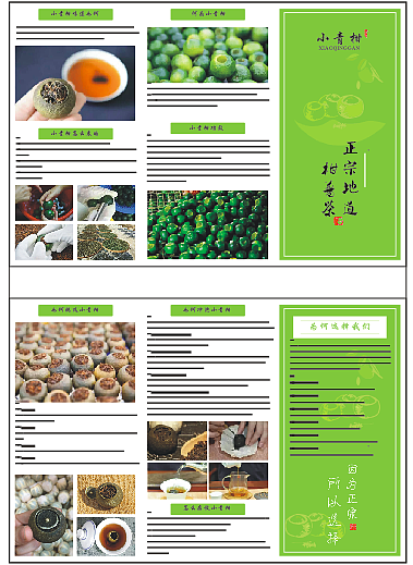 茶叶-小青柑产品折页（图ZODY2NTQ4OTI=） - 宣传物料 - 站酷设计师洁洁同学原创素材 - 站酷ZCOOL