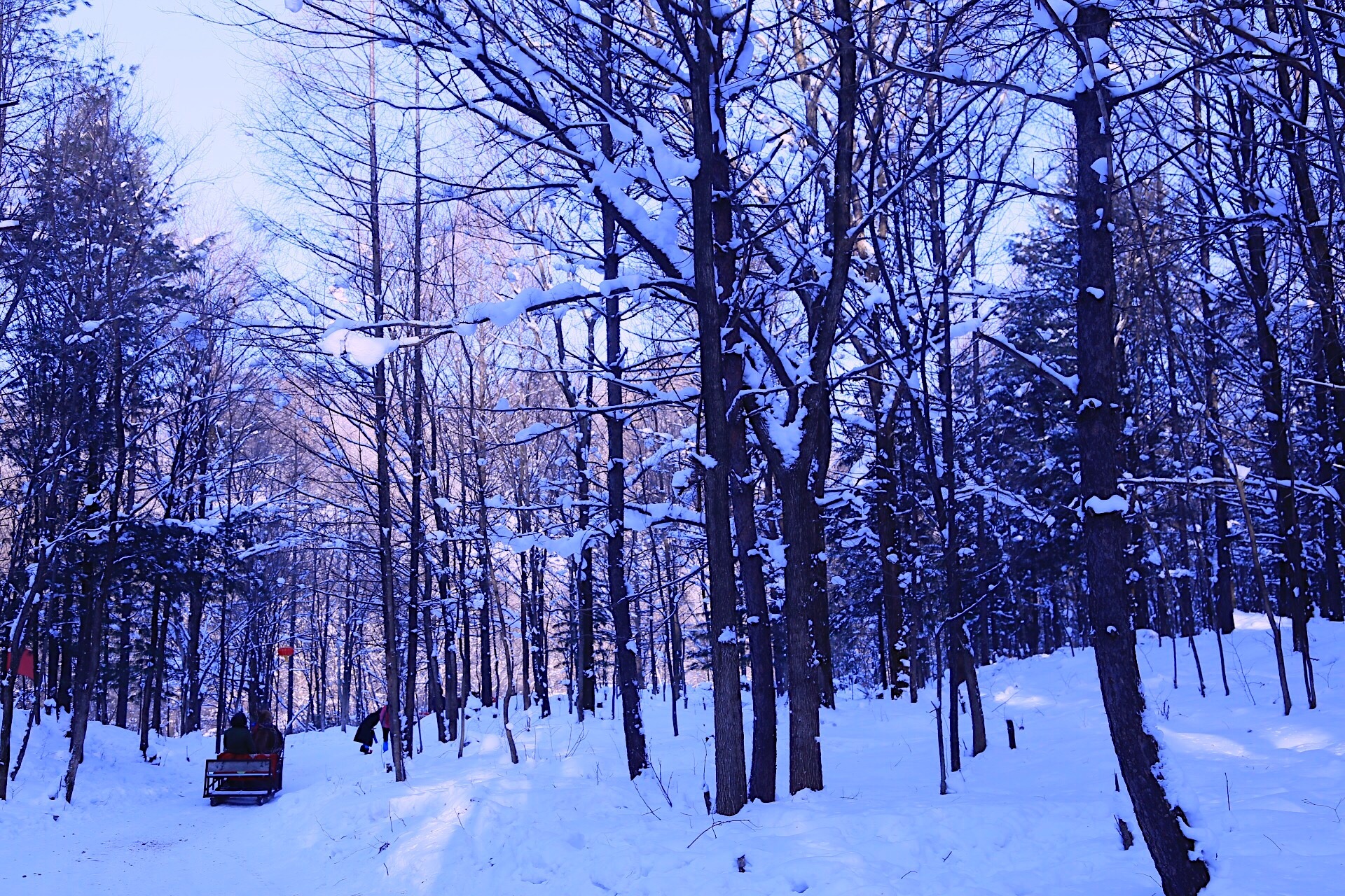 自然唯美的雪景壁纸大全43126_冬雪系列_风景风光类_图库壁纸_68Design