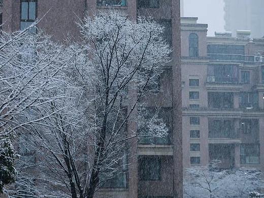 三月未至（個(gè)人主頁-ZNTgwMTIwMzI=） - 風(fēng)光攝影 - 站酷設(shè)計(jì)師莫言默原創(chuàng)素材 - 站酷ZCOOL