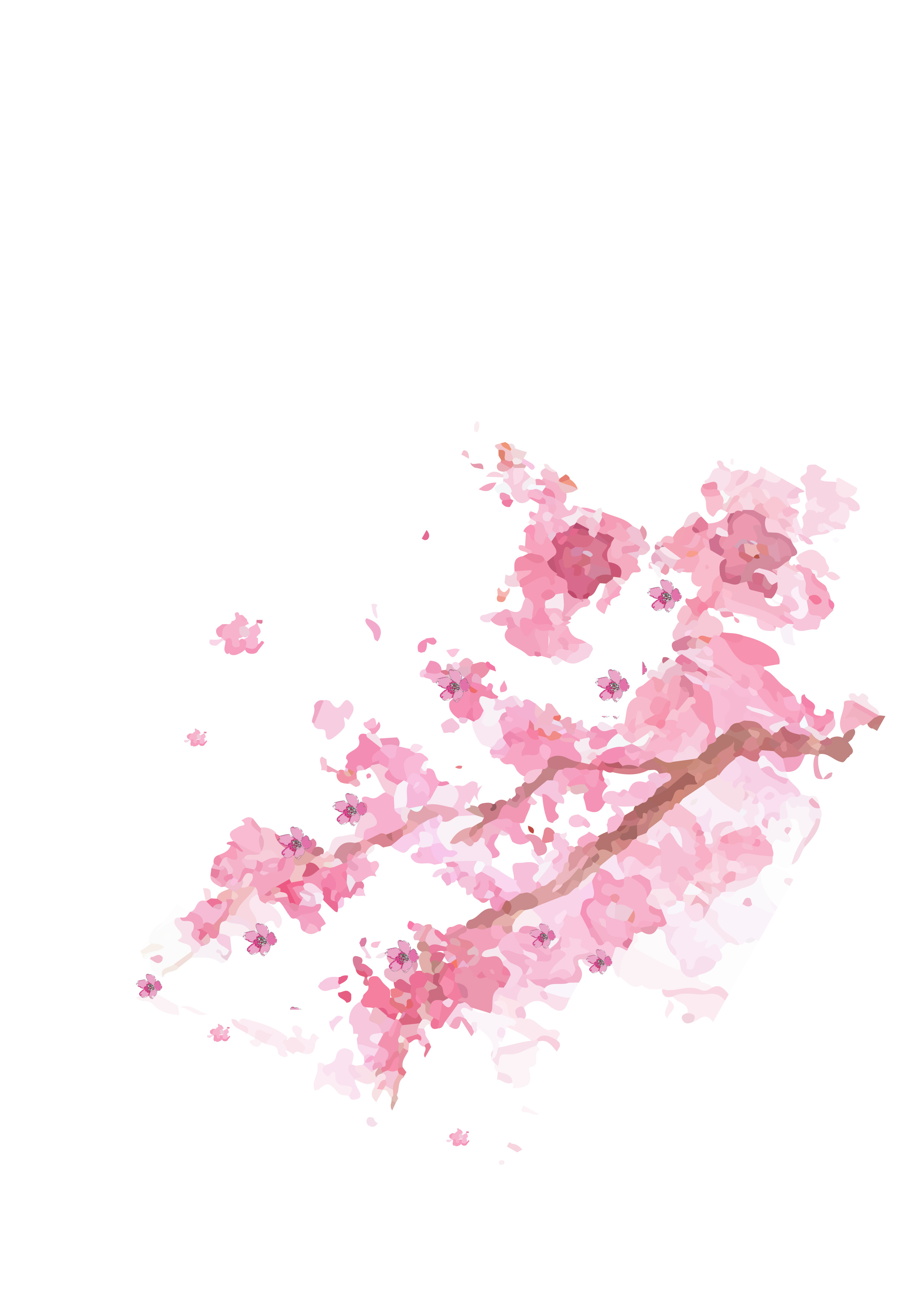 日本樱花传统元素图片素材免费下载 - 觅知网
