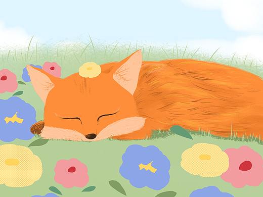 一只软趴趴的小狐狸